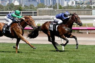 Lot 17 is a half-sister to Listed Tasmanian Derby winner Civil Disobedience. 